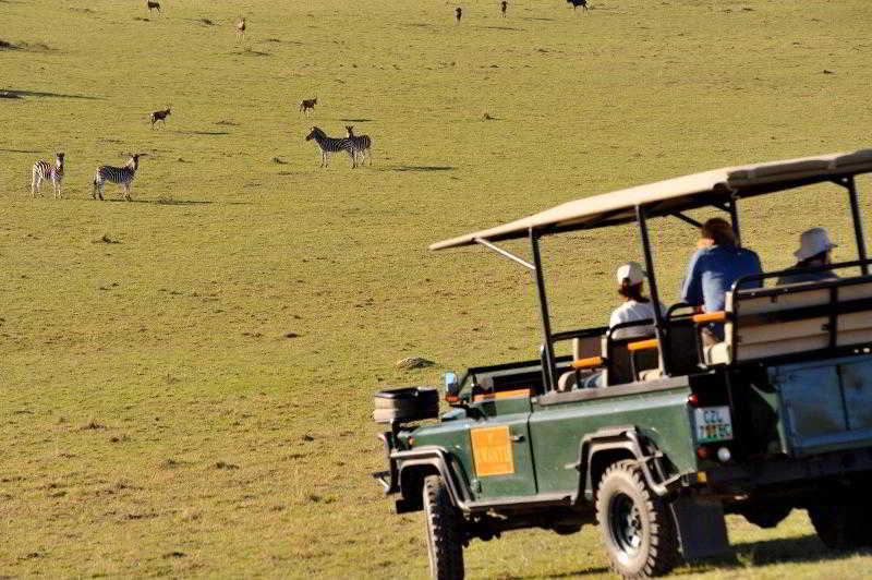 Kwantu Private Game Reserve Sidbury Exteriér fotografie