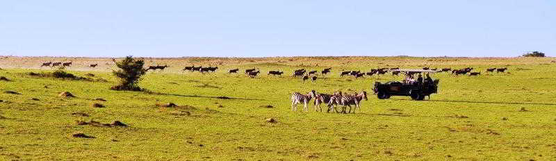 Kwantu Private Game Reserve Sidbury Exteriér fotografie